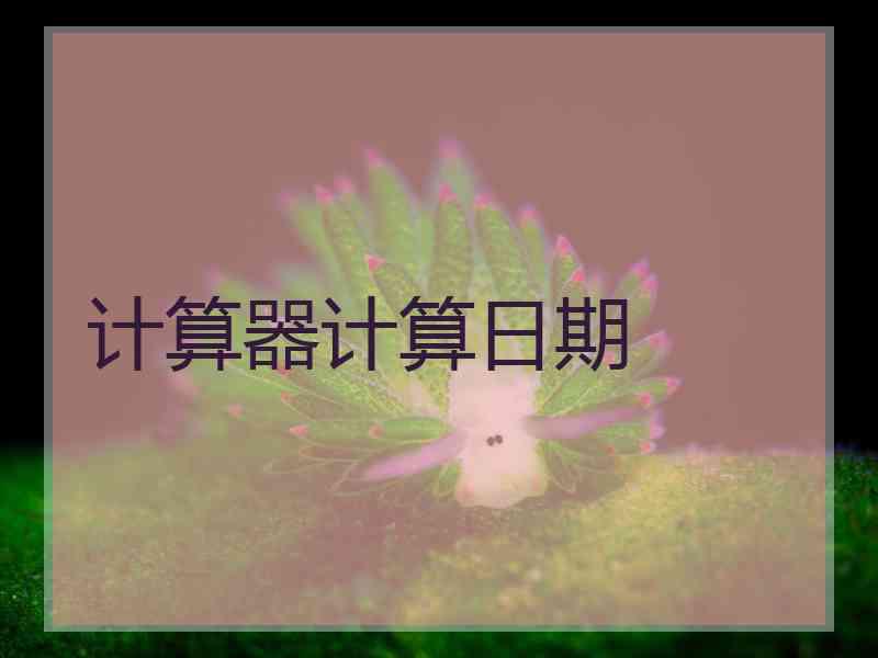 计算器计算日期