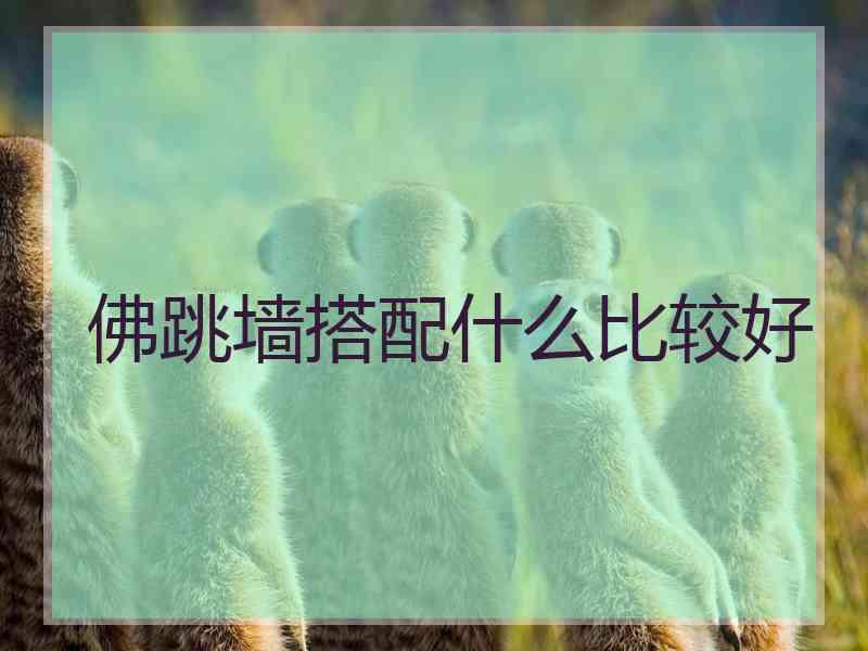 佛跳墙搭配什么比较好