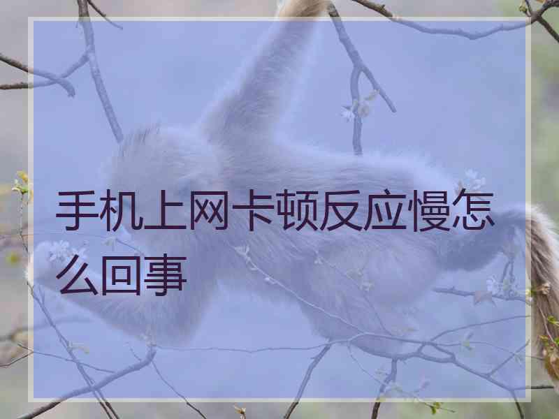 手机上网卡顿反应慢怎么回事