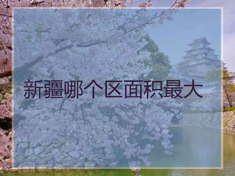 新疆哪个区面积最大
