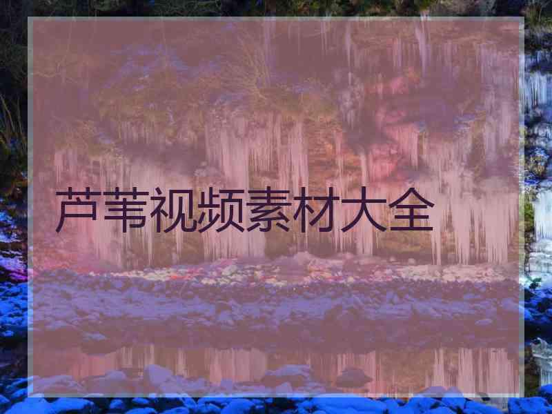 芦苇视频素材大全