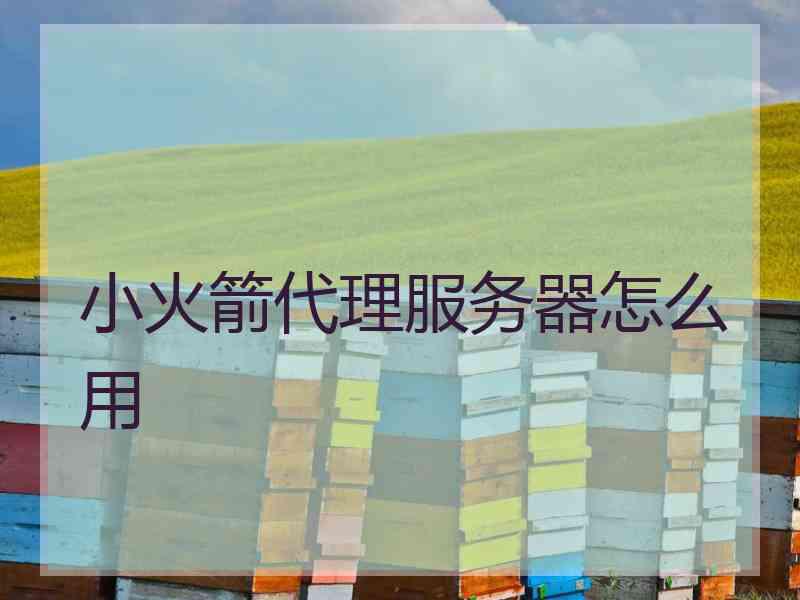 小火箭代理服务器怎么用