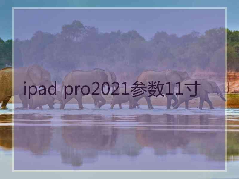 ipad pro2021参数11寸