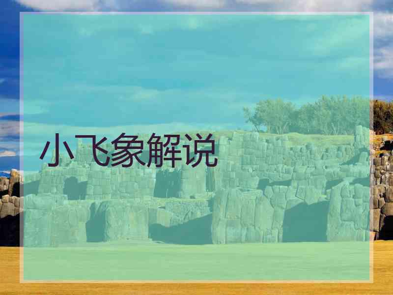 小飞象解说