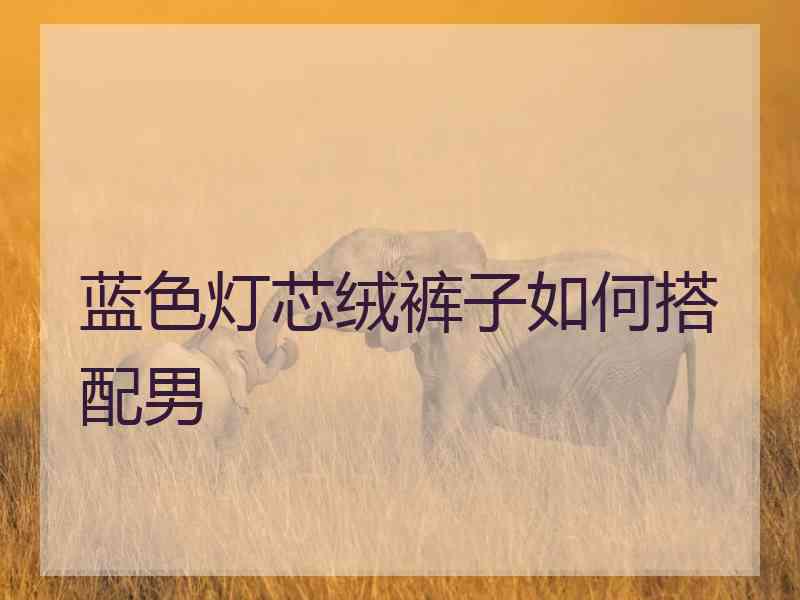 蓝色灯芯绒裤子如何搭配男