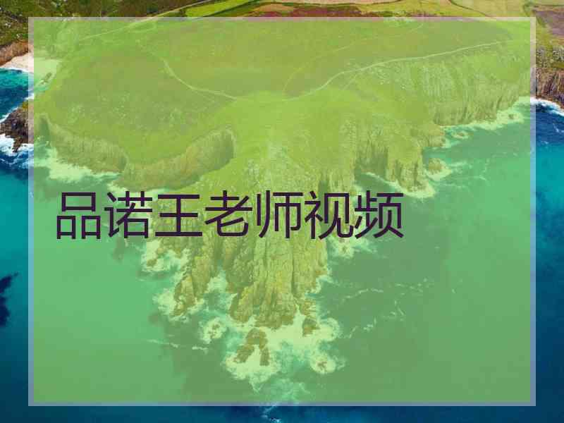 品诺王老师视频