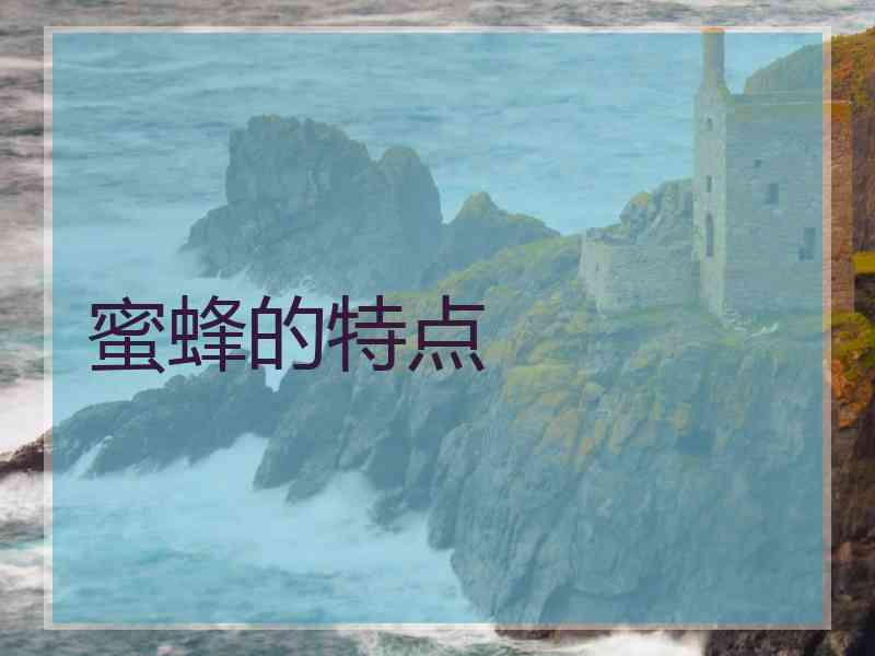 蜜蜂的特点
