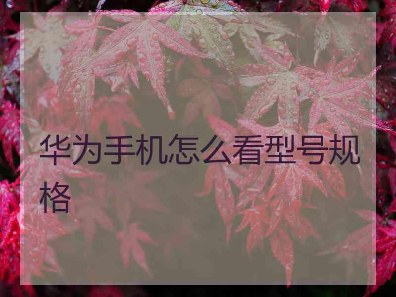 华为手机怎么看型号规格