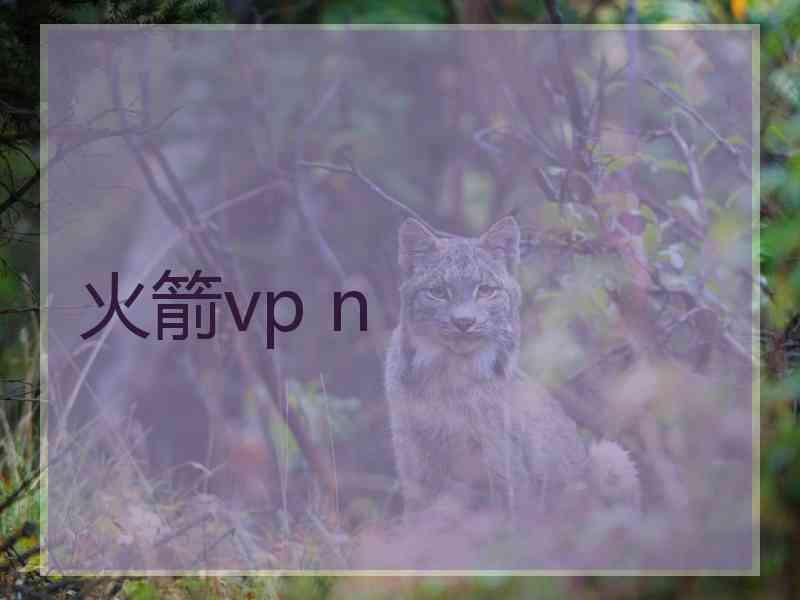 火箭vp n
