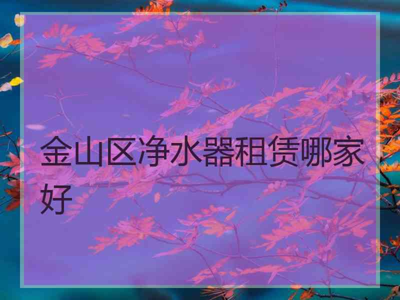 金山区净水器租赁哪家好