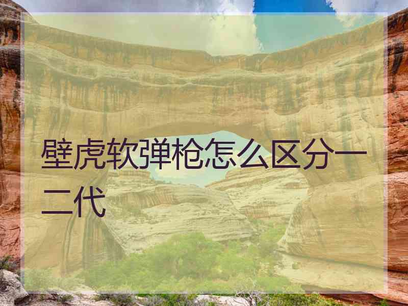 壁虎软弹枪怎么区分一二代