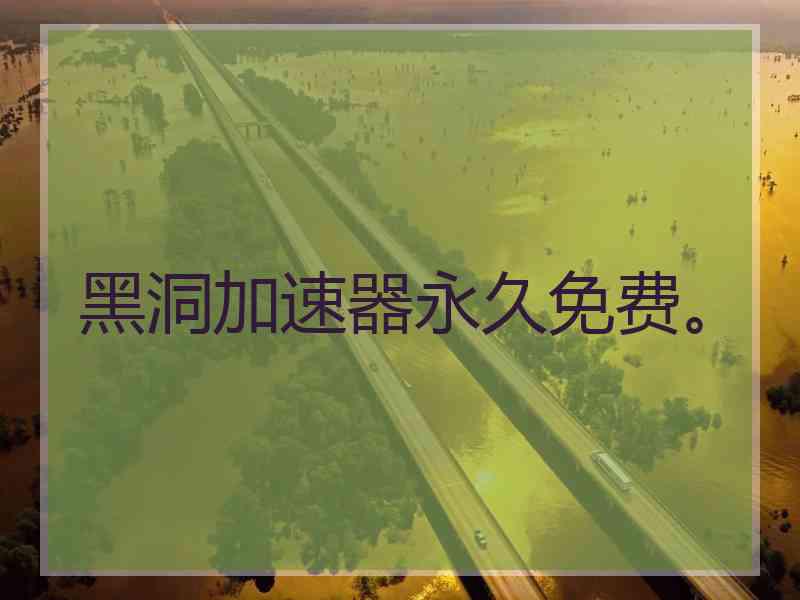 黑洞加速器永久免费。