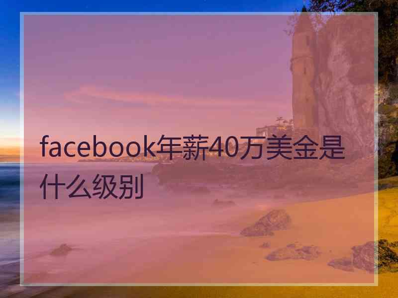 facebook年薪40万美金是什么级别