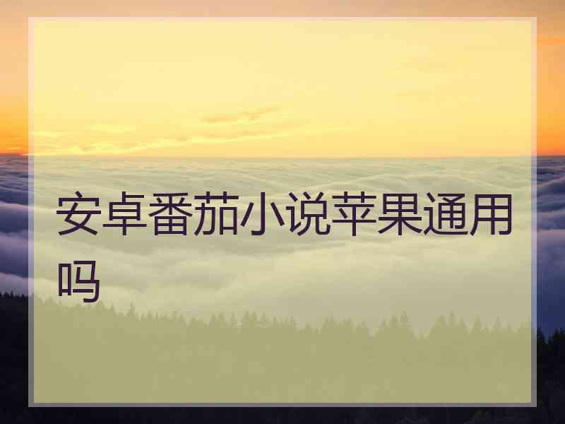 安卓番茄小说苹果通用吗
