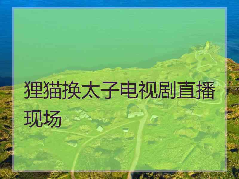 狸猫换太子电视剧直播现场