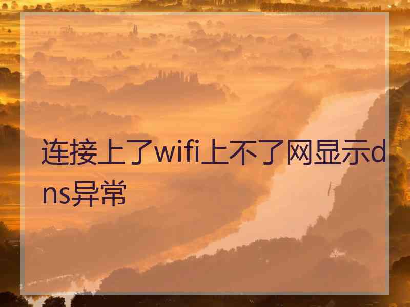 连接上了wifi上不了网显示dns异常