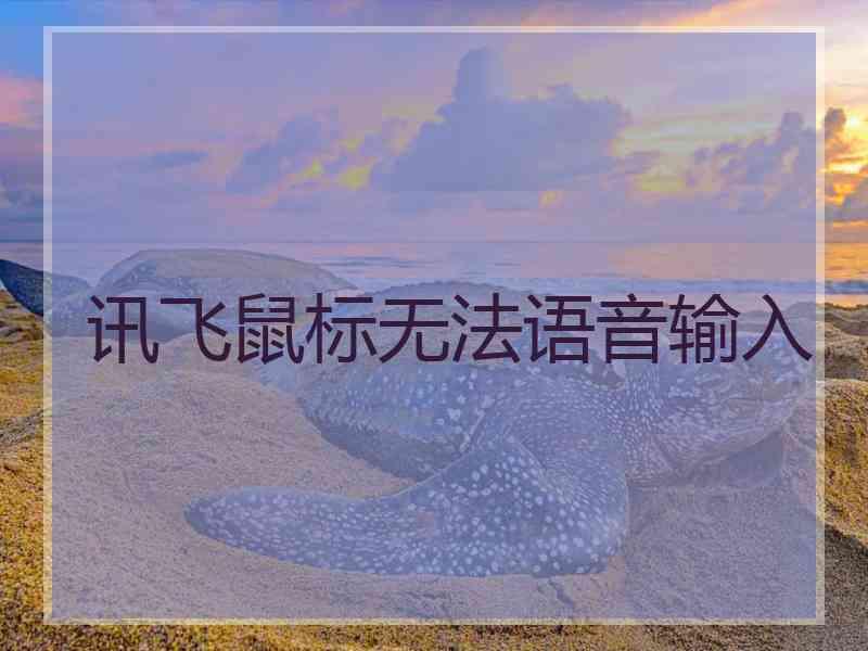 讯飞鼠标无法语音输入