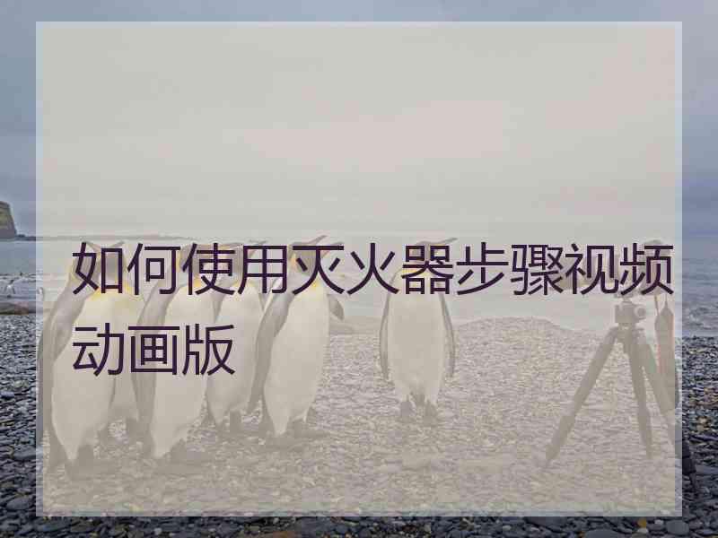 如何使用灭火器步骤视频动画版