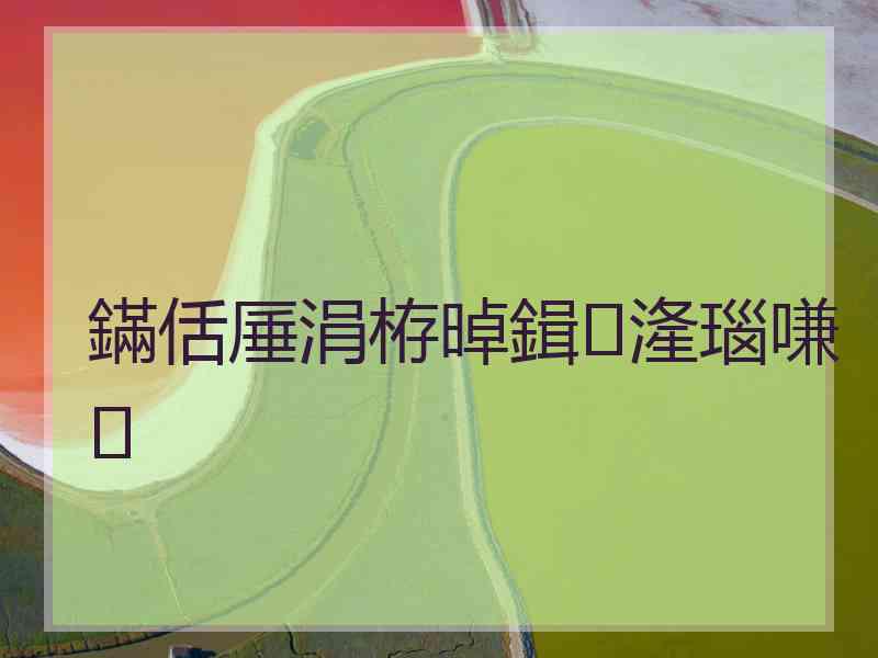 鏋佸厜涓栫晫鍓湰瑙嗛