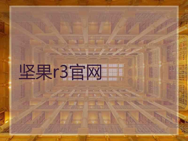 坚果r3官网