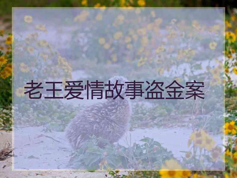 老王爱情故事盗金案