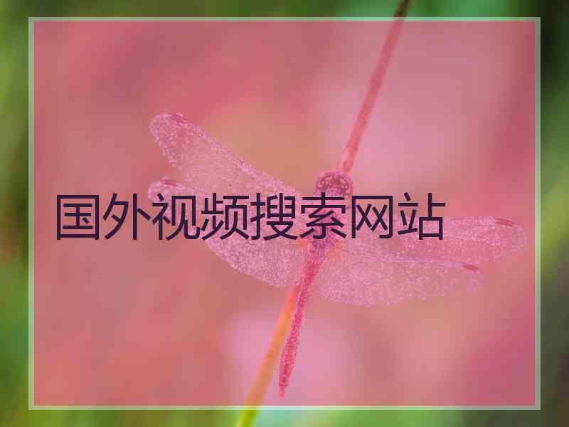 国外视频搜索网站