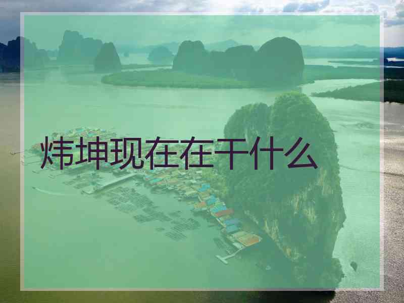 炜坤现在在干什么