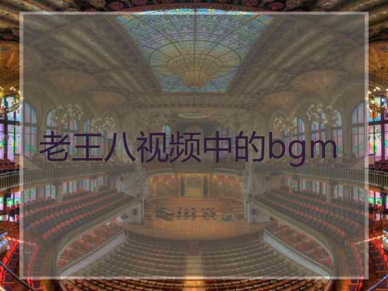 老王八视频中的bgm