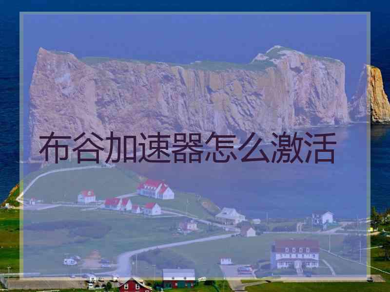 布谷加速器怎么激活