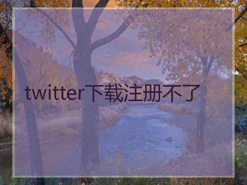 twitter下载注册不了