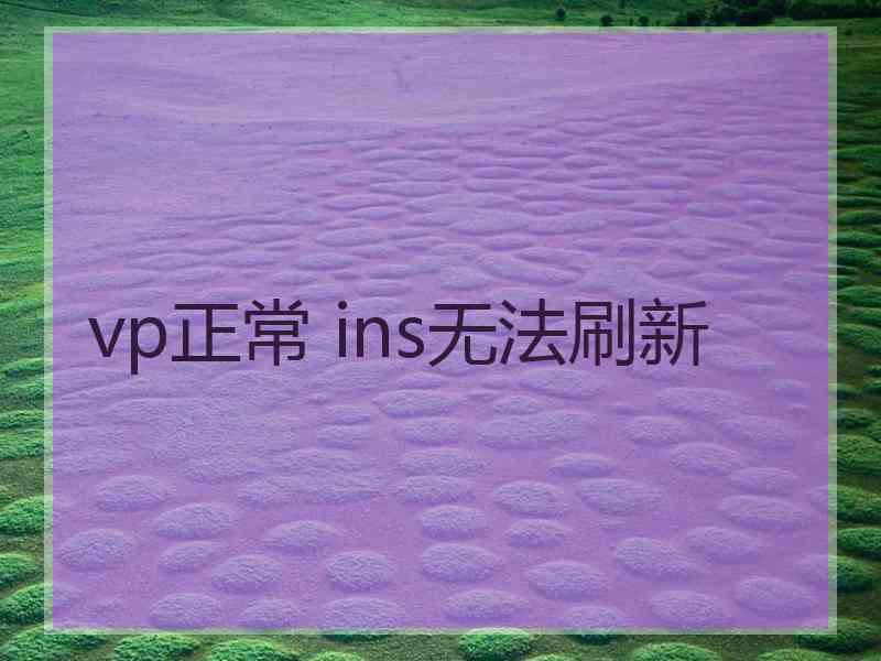 vp正常 ins无法刷新