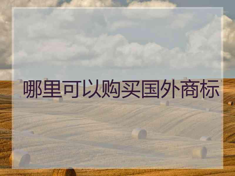 哪里可以购买国外商标