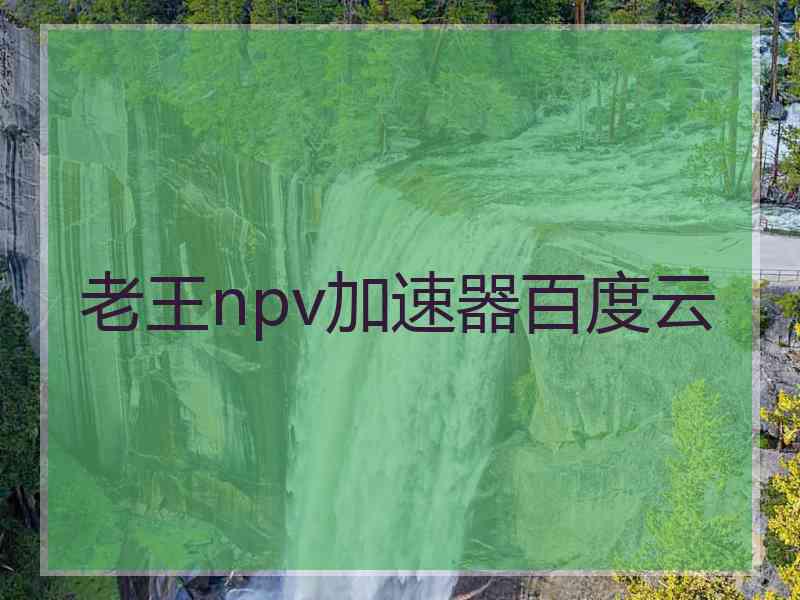 老王npv加速器百度云