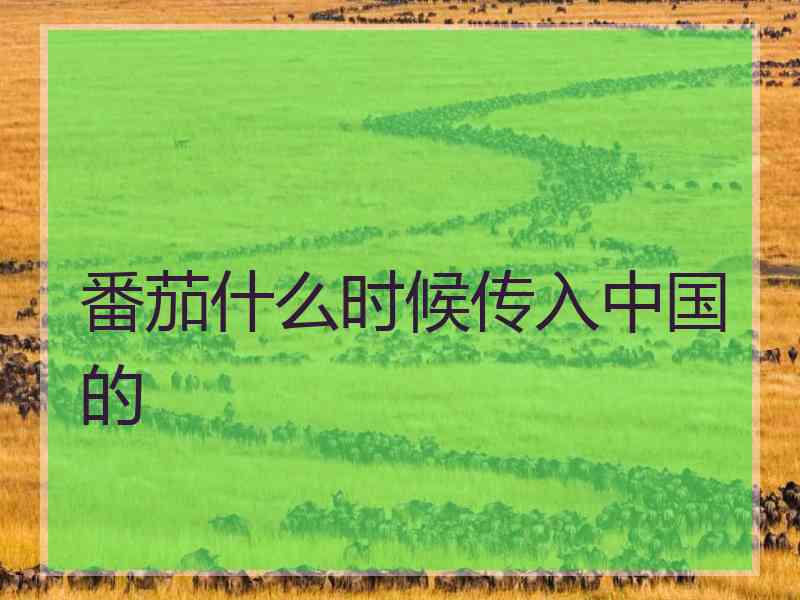 番茄什么时候传入中国的