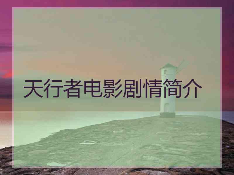 天行者电影剧情简介