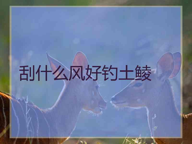 刮什么风好钓土鲮