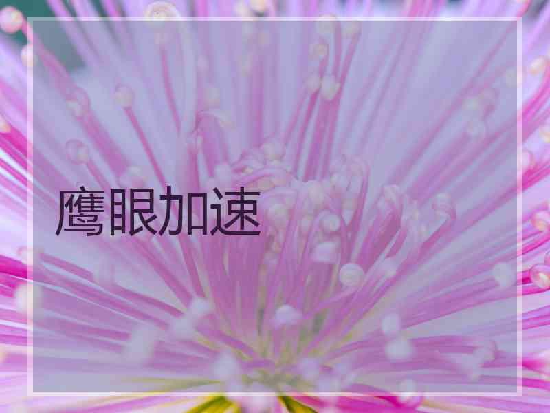 鹰眼加速
