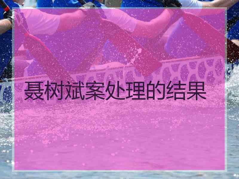 聂树斌案处理的结果