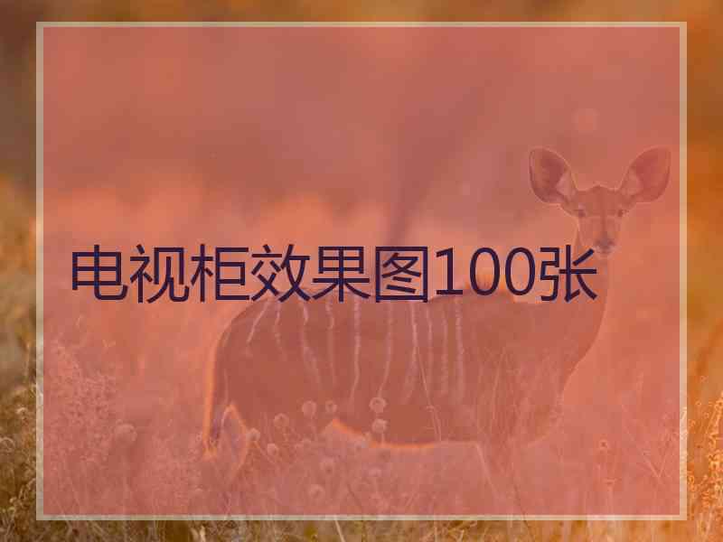 电视柜效果图100张