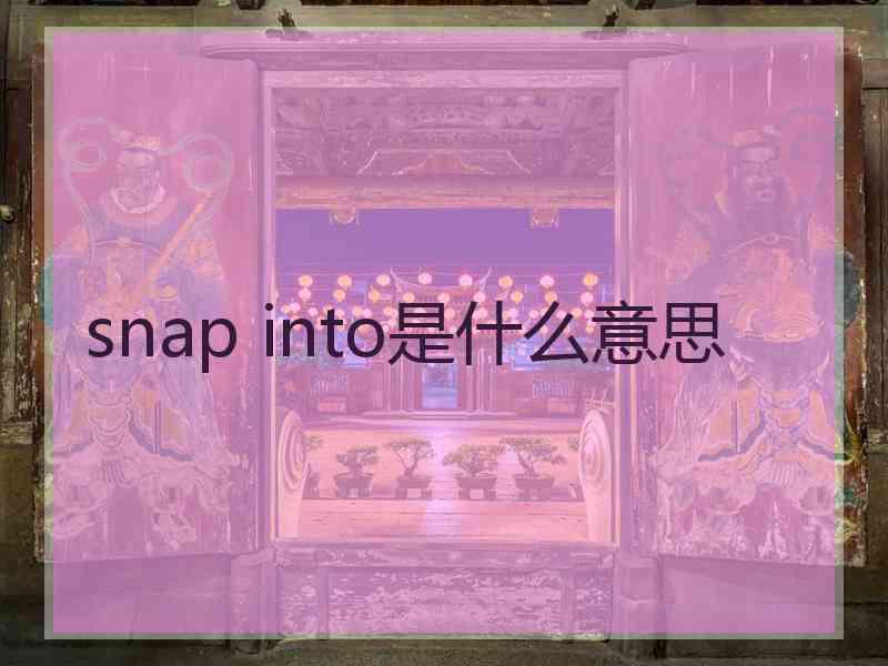 snap into是什么意思