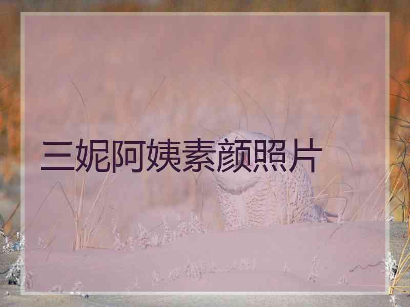 三妮阿姨素颜照片