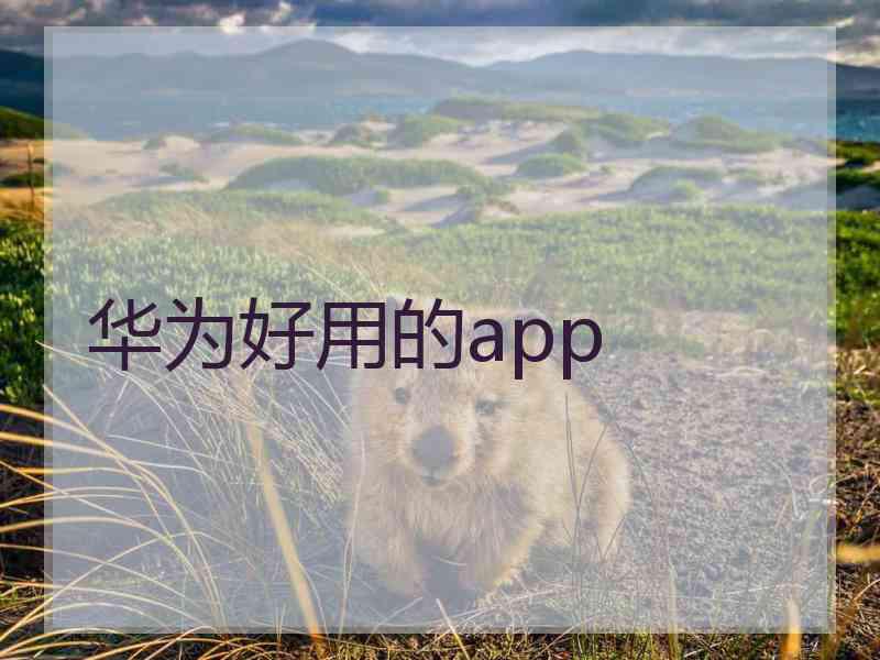 华为好用的app
