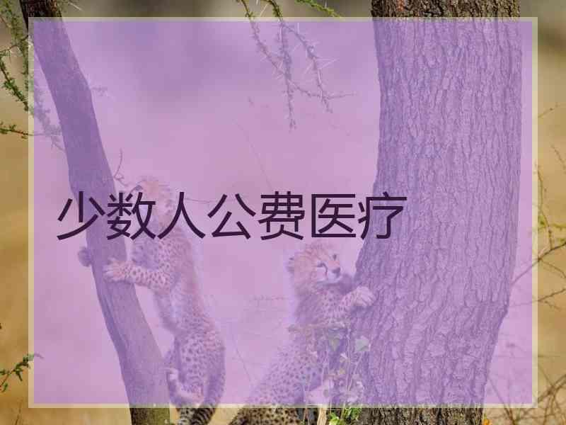 少数人公费医疗