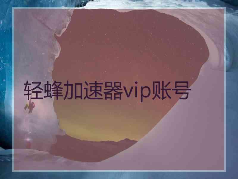轻蜂加速器vip账号
