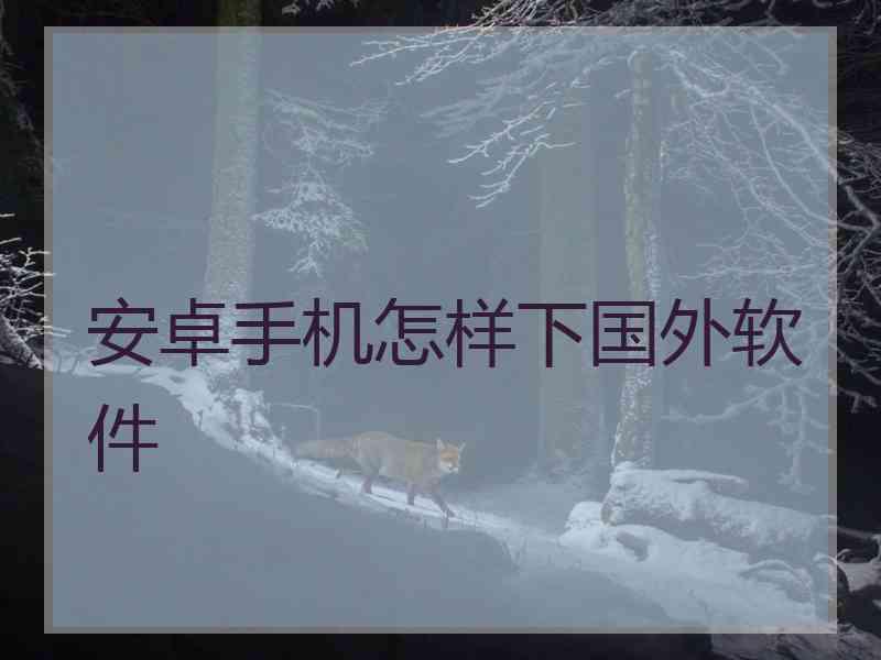 安卓手机怎样下国外软件