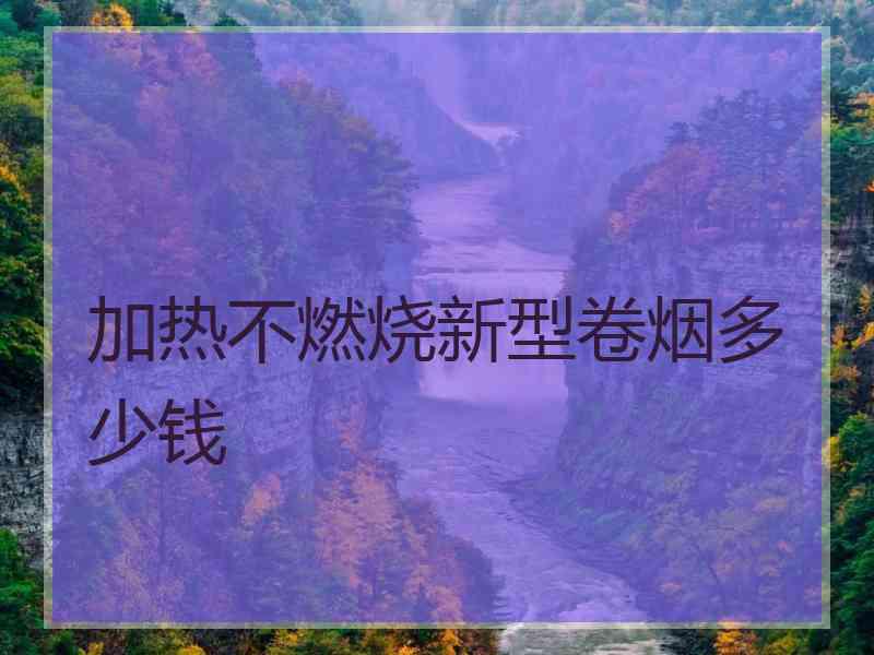 加热不燃烧新型卷烟多少钱