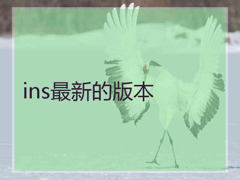 ins最新的版本