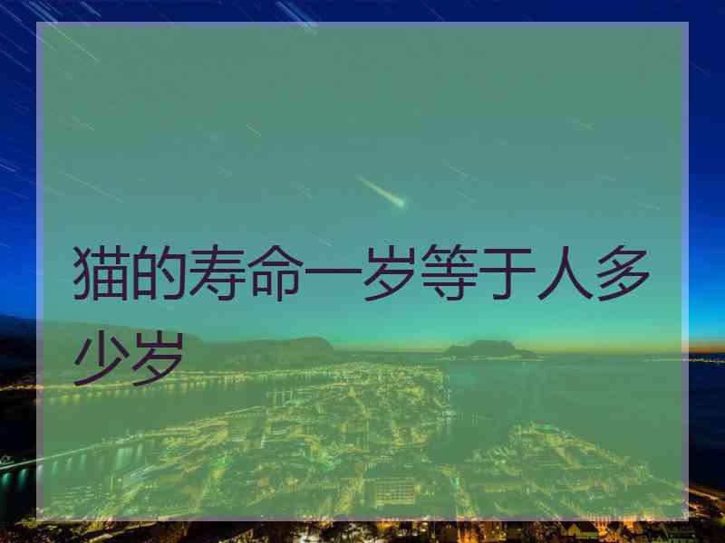 猫的寿命一岁等于人多少岁