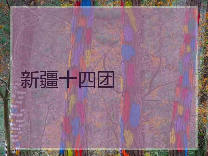 新疆十四团