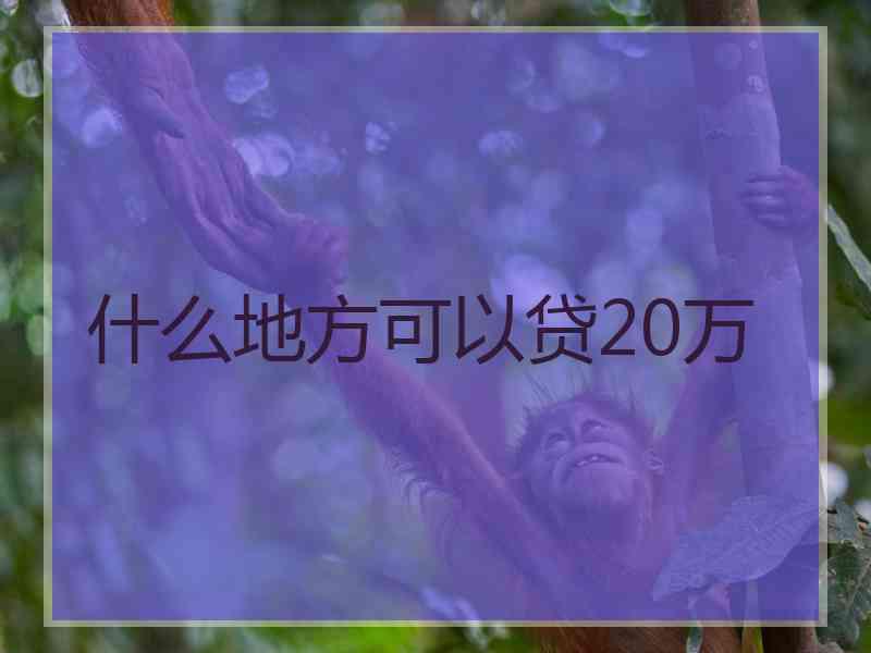 什么地方可以贷20万